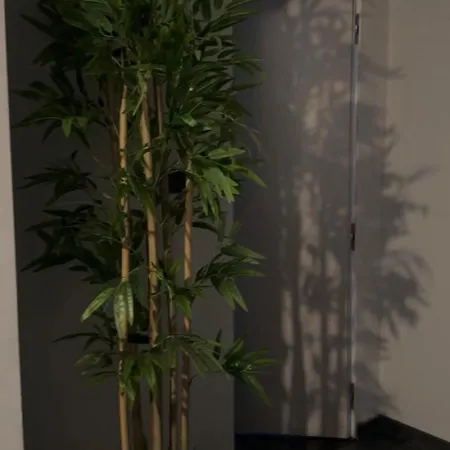 Bed & Breakfast Hesmir's Nest Tirana