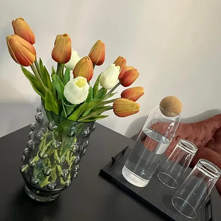 Bed & Breakfast Hesmir's Nest Tirana